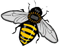 bee.jpg (6166 bytes)